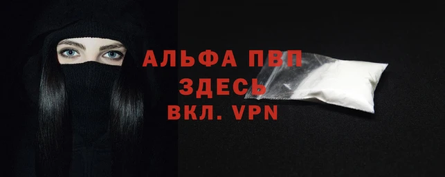 a pvp Пересвет